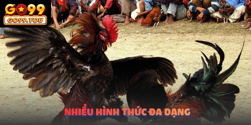 Trực tiếp đá gà cựa dao hôm nay​ go99 có rất nhiều hình thức đa dạng